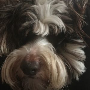 Meet your Posher, Jami